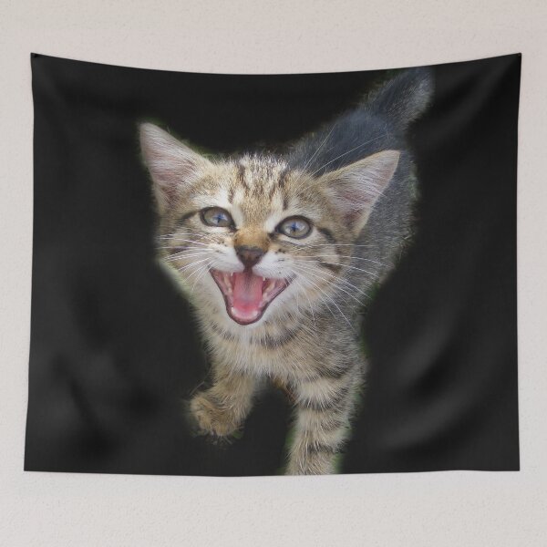 Item preview, kitten designed and sold by TatianaAn.
