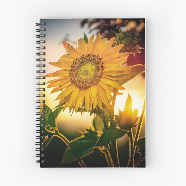 Item preview, Sunflower Sunset designed and sold by martin20011.