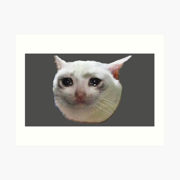 sad potato cat with butter