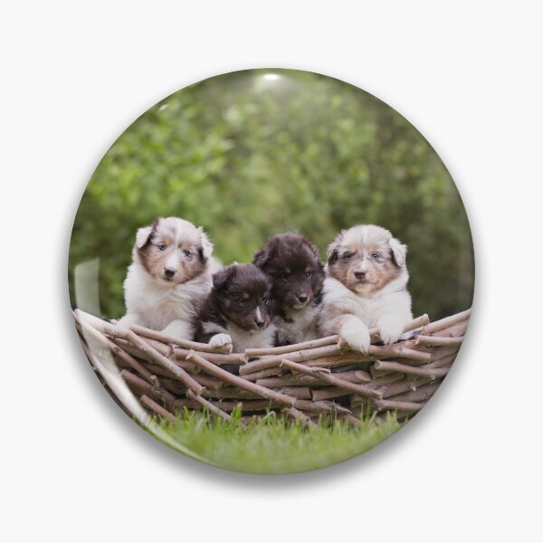 Item preview, Sheltie Puppies designed and sold by hadissima.