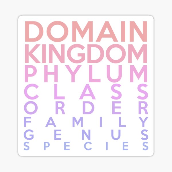 Domain, Kingdom, Phylum, Class, Family, Genus, Species Sticker