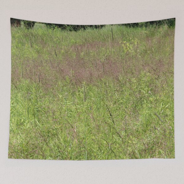Item preview, Summer Grasses designed and sold by Susie Kramer.