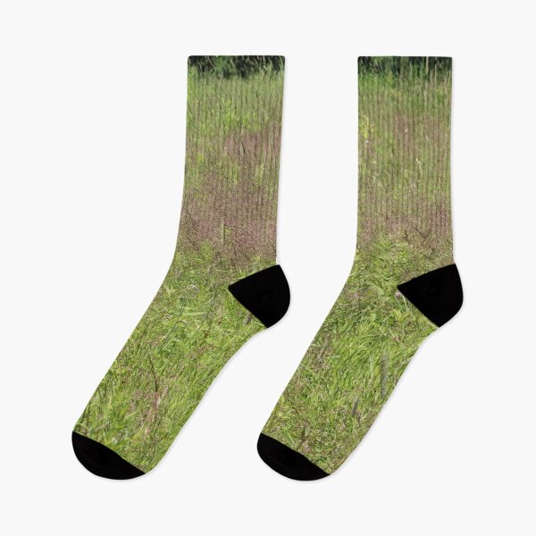 Item preview, Summer Grasses designed and sold by Susie Kramer.