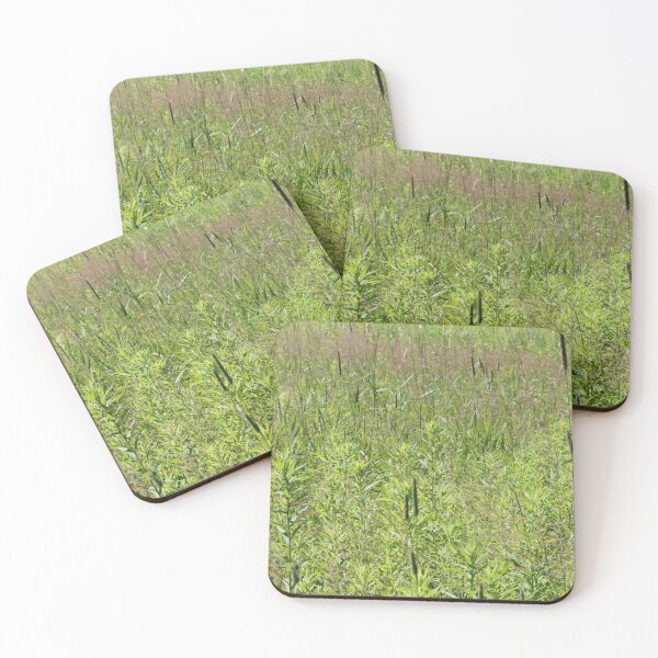 Item preview, Summer Grasses Vertical designed and sold by Susie Kramer.