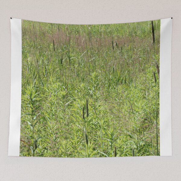 Item preview, Summer Grasses Vertical designed and sold by Susie Kramer.
