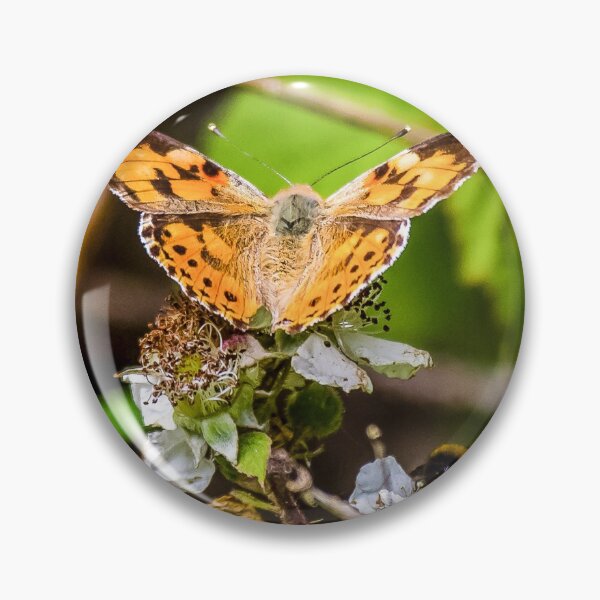 Item preview, Painted Lady designed and sold by Gary Osborne.