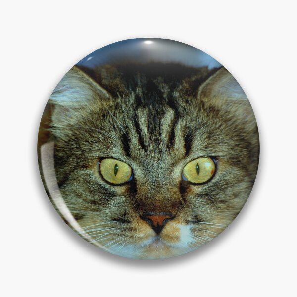 Item preview, Razz Muffin designed and sold by K D Graves Photography.