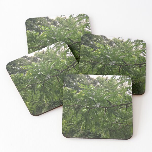 Item preview, Honey locust branch designed and sold by sasakwa.