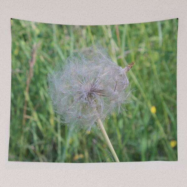 Item preview, Jumbo Dandelion Close Up designed and sold by Susie Kramer.