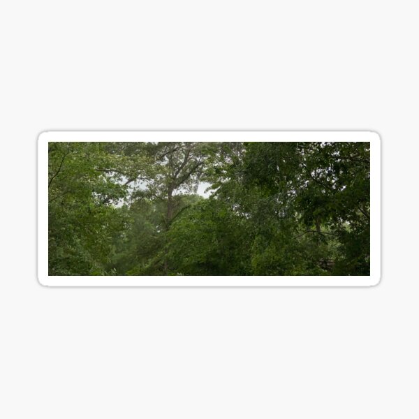 Panoramic of trees in a storm Sticker