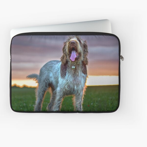 Brown Roan Italian Spinone Sunset Laptop Sleeve
