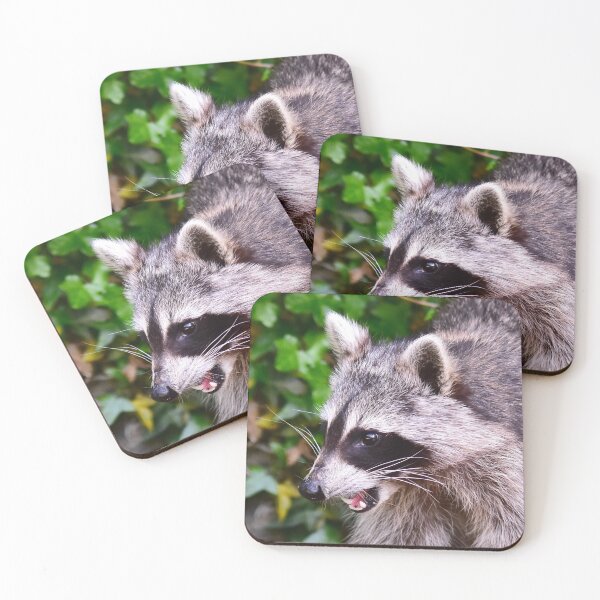 Item preview, Raccoon visit designed and sold by Glineur.