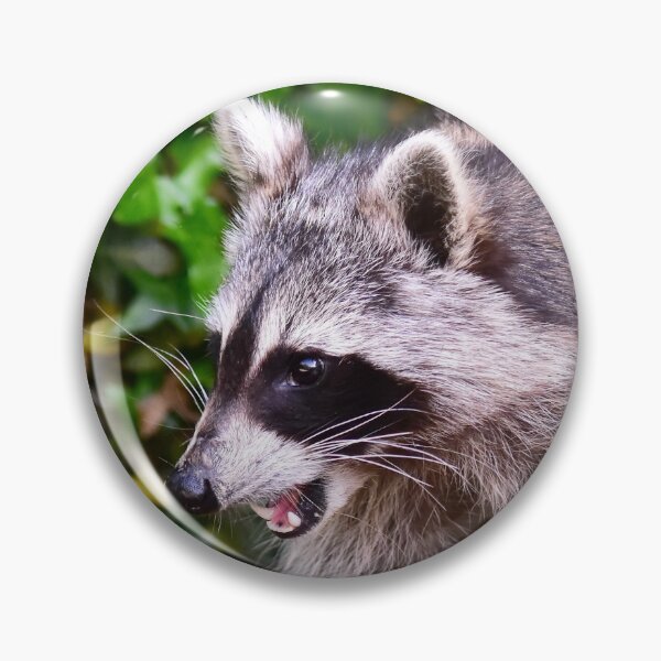 Item preview, Raccoon visit designed and sold by Glineur.