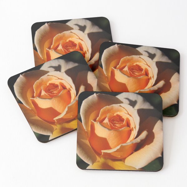 Item preview, Peach Rose designed and sold by WaterGardens.