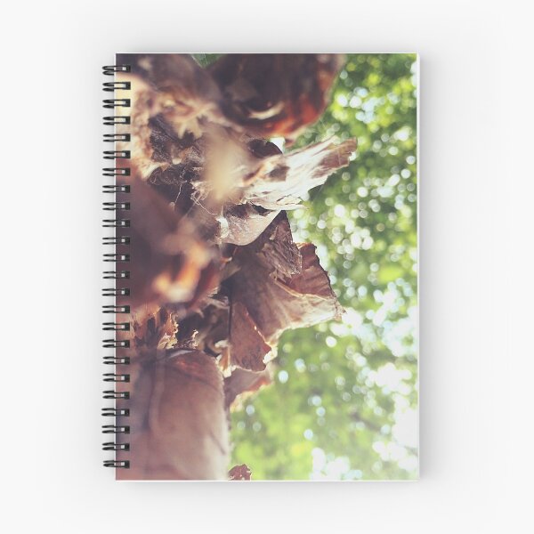 Item preview, Birch designed and sold by JMB330.