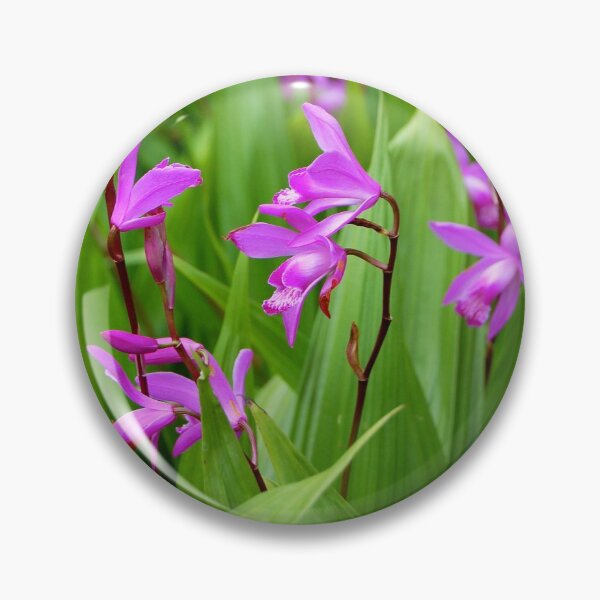 Artikelvorschau, Mauve entworfen und verkauft von WaterGardens.