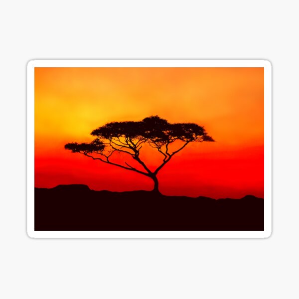 Item preview, An Acacia Tree in the Sunset designed and sold by Mitchell Grosky.