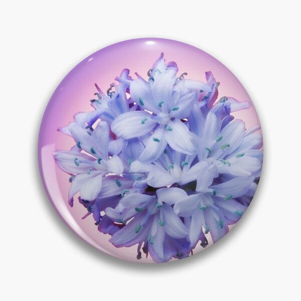 Item preview, Isolated lilac bluebell on a violet background. designed and sold by Phillip Thornton.
