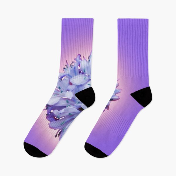 Item preview, Isolated lilac bluebell on a violet background. designed and sold by Phillip Thornton.