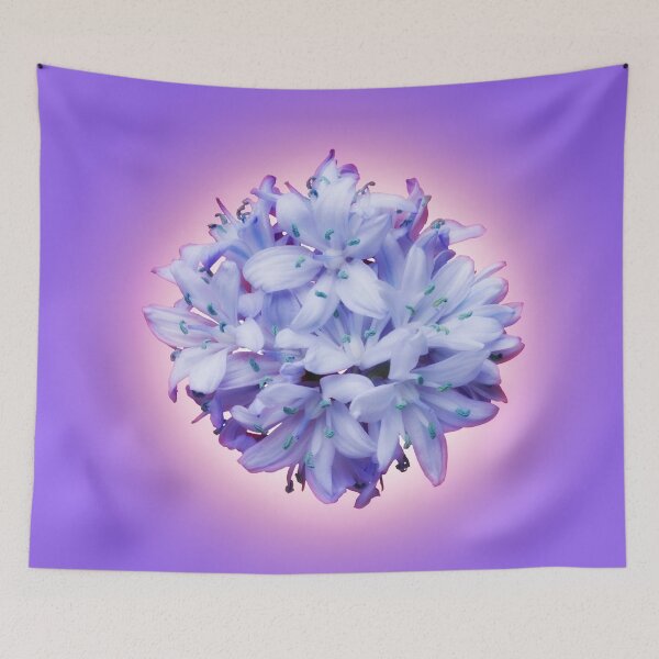 Item preview, Isolated lilac bluebell on a violet background. designed and sold by Phillip Thornton.