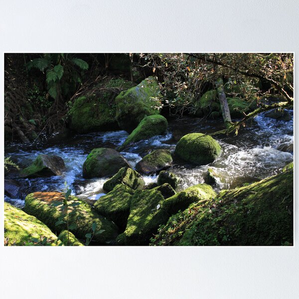 Item preview, Toorongo River designed and sold by Charles Kosina.