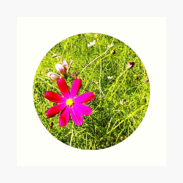 Wild Flowers Art Print
