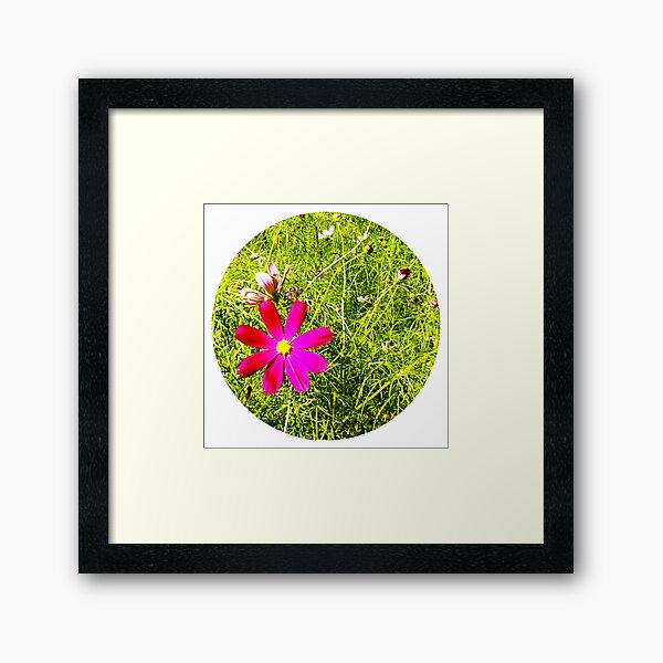 Wild Flowers Framed Art Print
