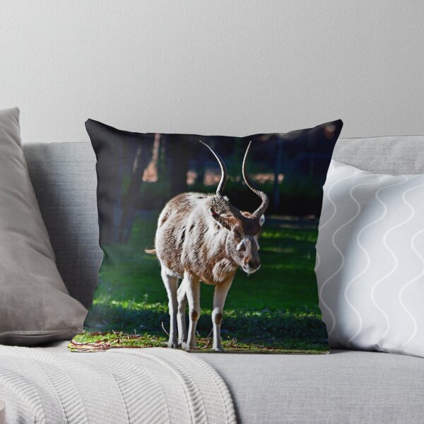 Item preview, Addax designed and sold by miroslava.