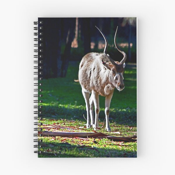 Item preview, Addax designed and sold by miroslava.