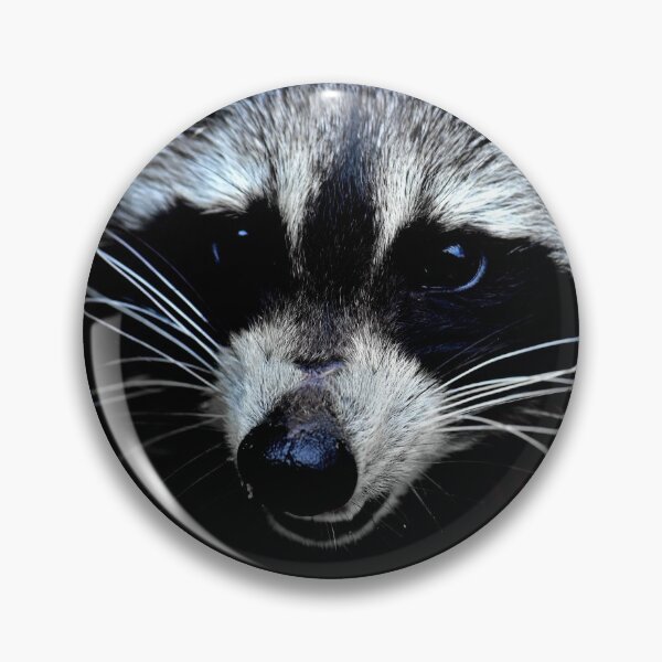 Item preview, Raccoon visit designed and sold by Glineur.