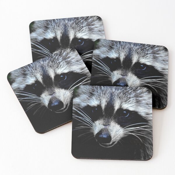 Item preview, Raccoon visit designed and sold by Glineur.