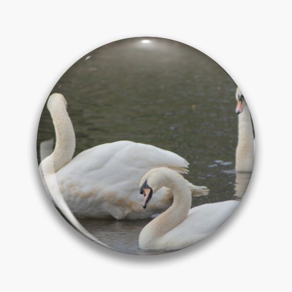 Item preview, Three Swans a Crowd designed and sold by dredfell.