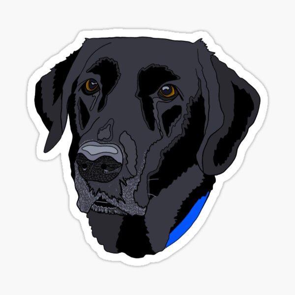 Item preview, Black Lab Bella designed and sold by avacpalmer.
