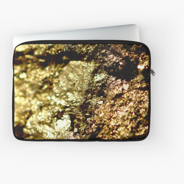 Fool's Gold Laptop Sleeve