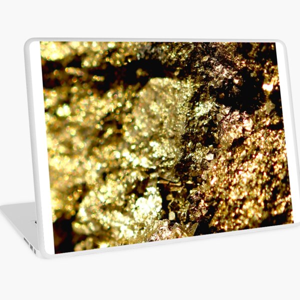 Fool's Gold Laptop Skin