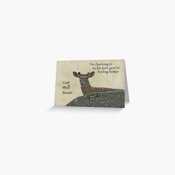 Item preview, Get Well Card - Whitetail Deer in Velvet designed and sold by MotherNature.