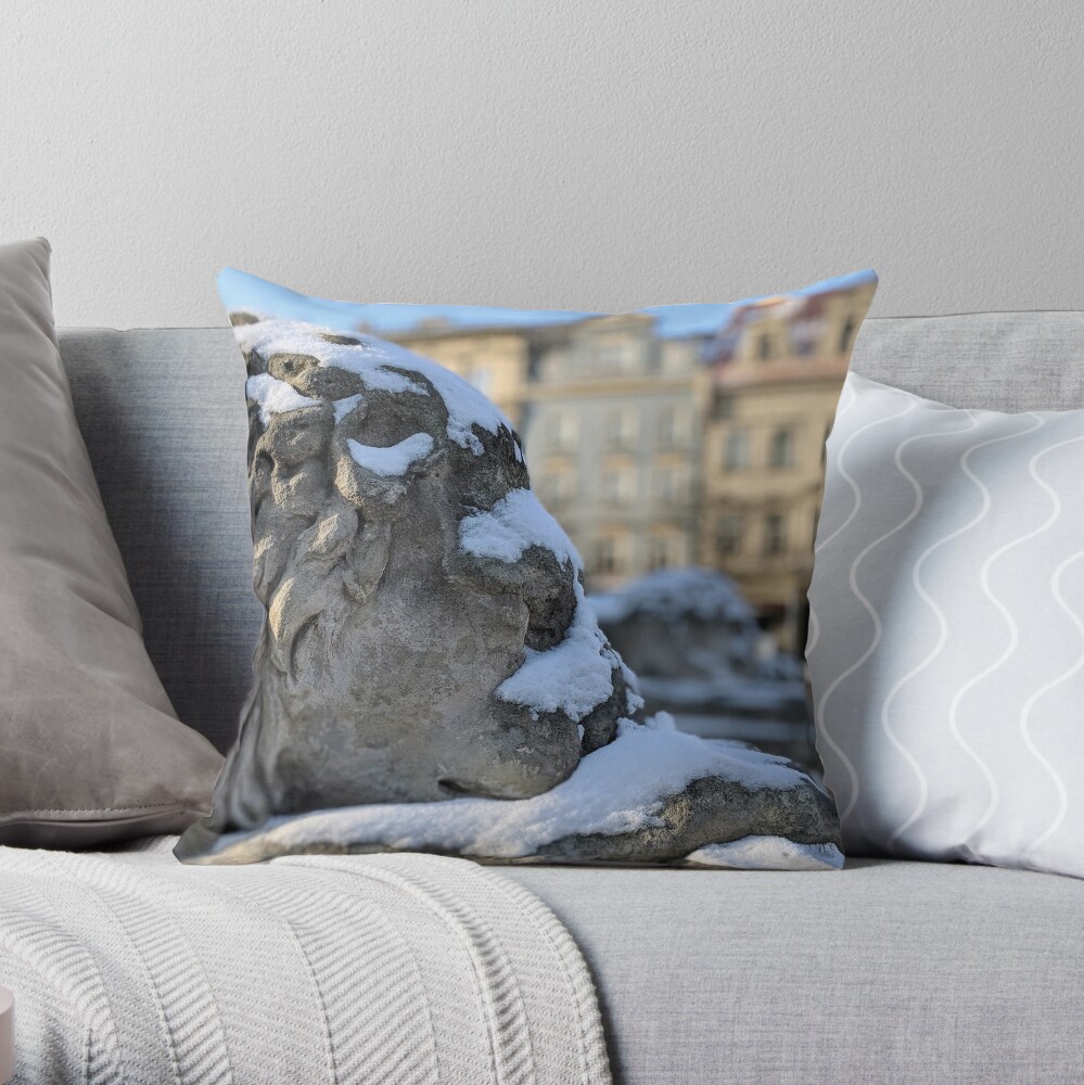 Cold lion in Krakow Throw Pillow
