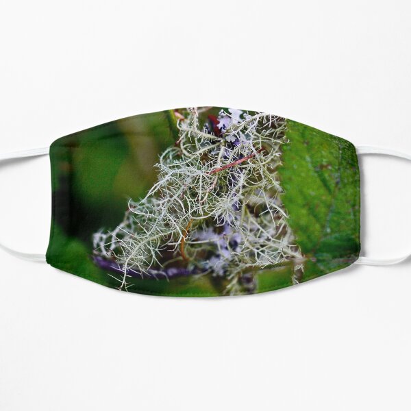 Peeking Lichen Flat Mask
