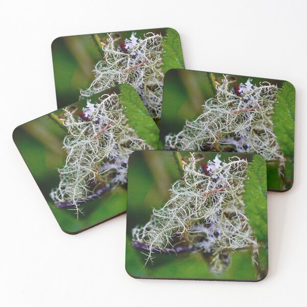 Item preview, Peeking Lichen designed and sold by tasturm1.