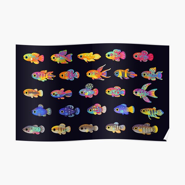 Killifish! Poster