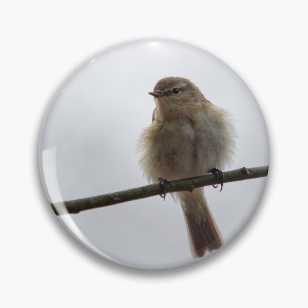 Item preview, Chiffchaff chiffchaffing designed and sold by Jouko Lehto Photography.