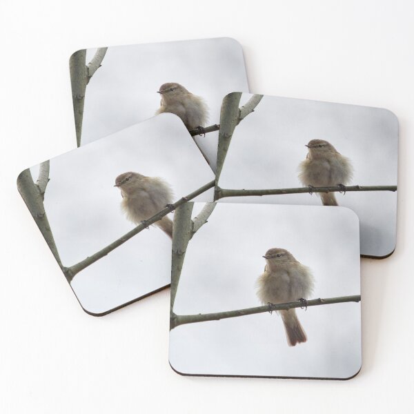 Item preview, Chiffchaff chiffchaffing designed and sold by Jouko Lehto Photography.