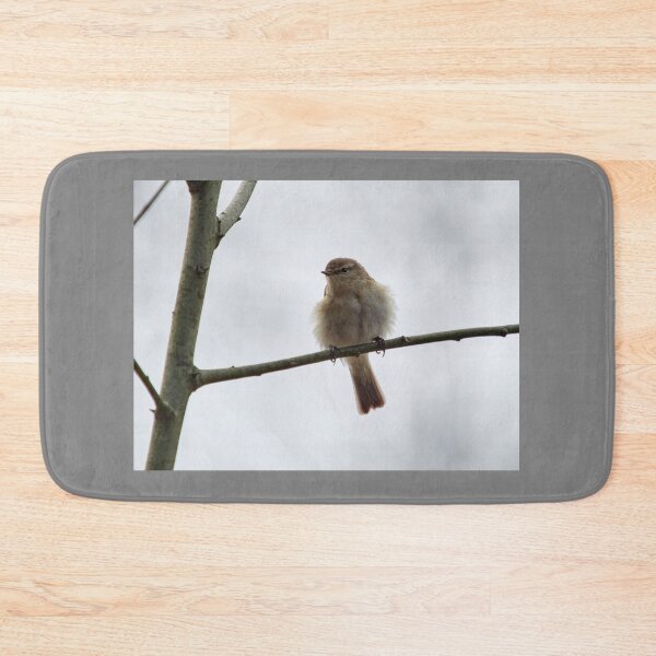 Item preview, Chiffchaff chiffchaffing designed and sold by Jouko Lehto Photography.