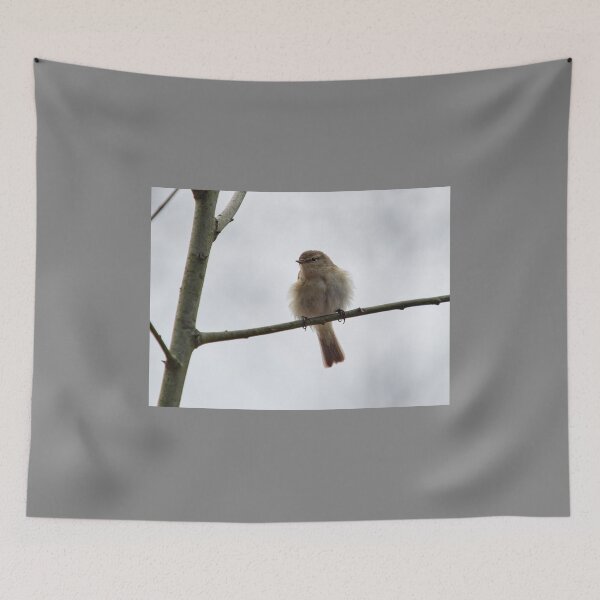 Item preview, Chiffchaff chiffchaffing designed and sold by Jouko Lehto Photography.