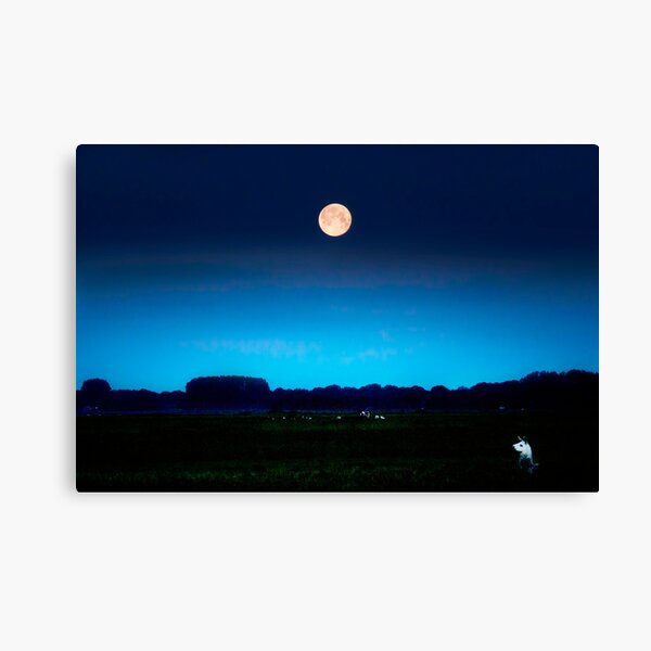 Item preview, Full moon in june designed and sold by THHoang.