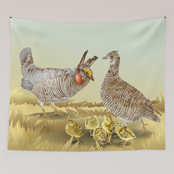 Item preview, Lesser Prairie Chickens designed and sold by ginkodragon.