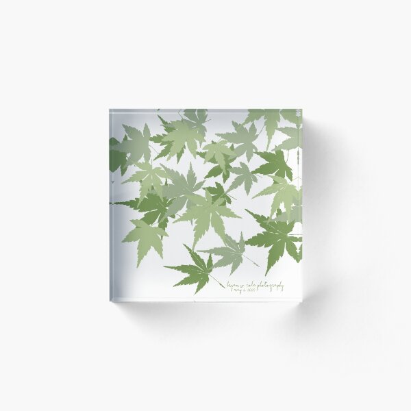 Japanese Maples, Spring 2020 Acrylic Block