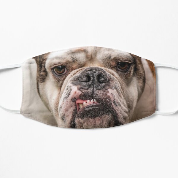 Fabulous Bulldog Flat Mask