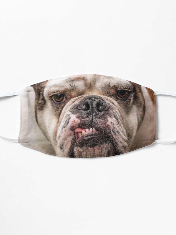 Alternate view of Fabulous Bulldog Mask