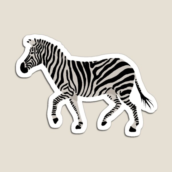 Cebra | Animal | África | Rayas Imán